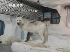 -南京海底世界