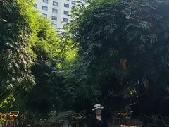 -西苑公园
