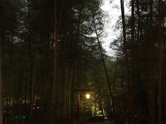 -天目湖御水温泉·度假酒店