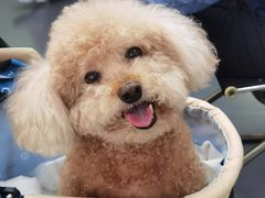 -爱侣宠医·鹦鹉专科·小型哺乳类·异宠专科(灵石路店)