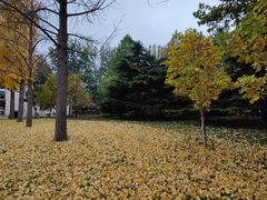 -中国政法大学(昌平校区)