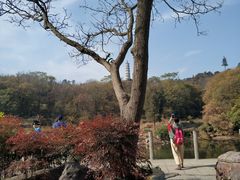 -巢湖姥山岛