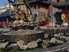 -上海东林寺(金山区)