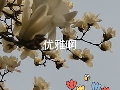 -睦南公园