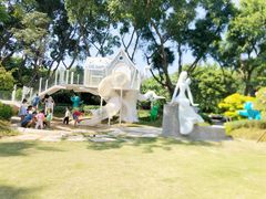 -银湖山郊野公园-相思林