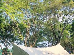 -番禺大夫山森林公园