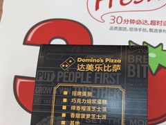 -达美乐比萨(墨玉南路店)