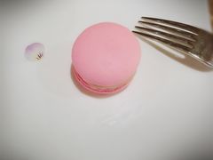 -The Lounge大堂酒廊·咖啡·沙拉·下午茶(金茂深圳JW万豪酒店)