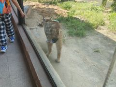 -杭州野生动物世界