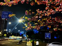 -城市阳台