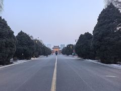 -北陵公园