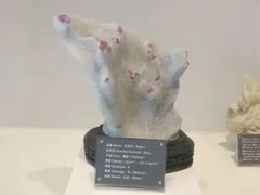 -房山世界地质公园博物馆