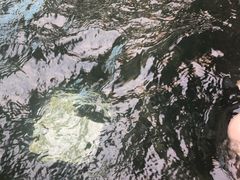 -弘安丽水温泉酒店