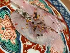 黑喉鱼-橼舍鮨青木