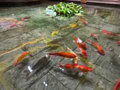 -惠食佳(滨江大公馆店)