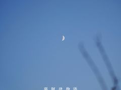 -丁香湖公园