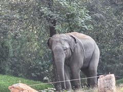 -北京野生动物园