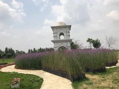 -紫颐香薰山谷景区