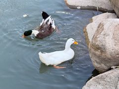 -J Create城市露营咖啡·简餐·宠物(上海动物园店)