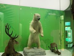 -国家自然博物馆