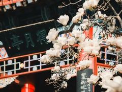 -济南大明湖景区