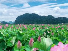 -莒县世起全羊馆(塔桥人家店)