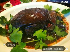 -呼吸森林·生态农庄农家乐私房菜