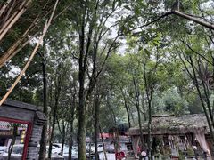 -土砂锅生态山庄·非遗砂锅雅鱼