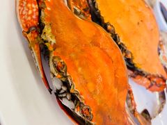-禾斗海鲜自助(市南银座店)