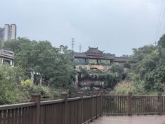 -张坝桂圆林公园