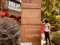 -泡桐树街