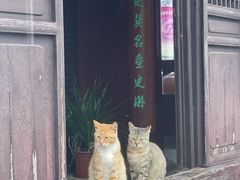-常熟方塔园