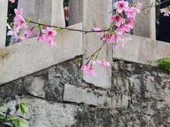 -乌山风景区