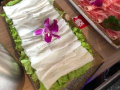古田竹笙-新草堂锅物料理(泉城路店)
