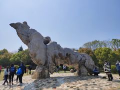 -南京市江宁方山