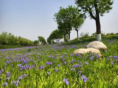 -汉长安城未央宫国家考古遗址公园