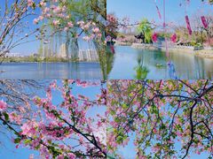 -莫愁湖公园