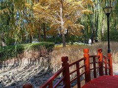 -玲珑塔公园