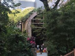 -香港大学