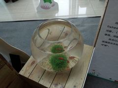 -中国杭州低碳科技馆