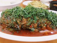 -老字号怡玺·藿香雅鱼(20年雅安店)