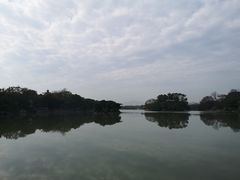 -江心屿景区