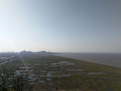-洋山深水港