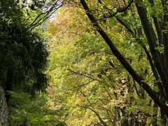 -国家植物园南园