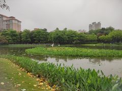 -映月湖公园