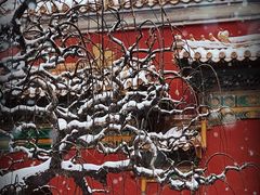 -北京市劳动人民文化宫(太庙)