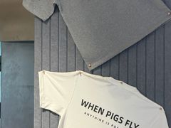 -WHEN PIGS FLY当猪飞