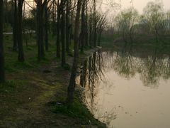 android_upload_pic-新江湾城公园