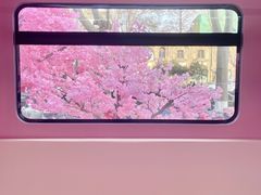 -金茂览秀城