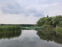 -溱湖国家湿地公园